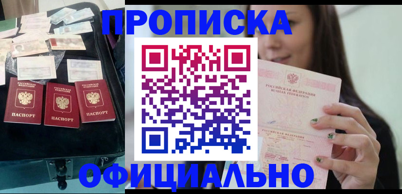 прописка законно в Курганинске